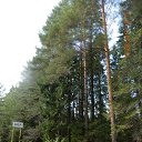 ���� ������, �����, 54 ���� - ��������� 21 ������� 2013 � ������ �����2013�