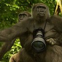 ���� �����, ������, 54 ���� - ��������� 25 ������� 2014 � ������ �FunnyAnimals�