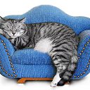 ���� �, �������, 42 ���� - ��������� 15 ������ 2014 � ������ ���� ����������