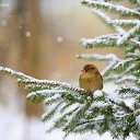 ���� ���, ������ - ��������� 7 ������ 2014 � ������ ���� ����������