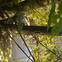 ���� �������, ����� - ��������� 12 ������� 2014 � ������ ��� ��� ������ ���