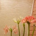 ���� �������, �����, 54 ���� - ��������� 12 ������� 2013 � ������ ���� ����������