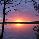  Loseff Yurij, , 63  -  10  2013   