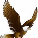 ���� Irmin, ������� - ��������� 18 ������� 2014 � ������ ������ ��������
