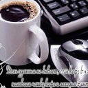 ���� �������, �������� - ��������� 8 ����� 2014 � ������ ������ ��������