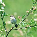 ���� Natal��, ������ ��� - ��������� 15 ������� 2014 � ������ ������ ��������