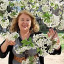 ����� ������ ������� �� ������� ����� ��� ������������