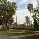 ���� �����, �������� - ��������� 5 ������ 2013 � ������ ���� ����������