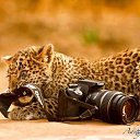 ���� �����, ������, 54 ���� - ��������� 25 ������� 2014 � ������ �FunnyAnimals�