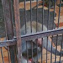 ���� Viktor, ������, 59 ��� - ��������� 15 �������� 2013 � ������ �������� 2013�