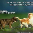 ���� ������, ���������, 60 ��� - ��������� 16 ������� 2013 � ������ ������ ��������