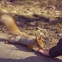 ���� ������, �����������, 44 ���� - ��������� 9 ������� 2014 � ������ ���� ����������