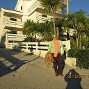 ���� ������, ������ - ��������� 8 ������� 2013 � ������ ���� ����������