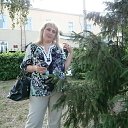 ���� �������, ���� - ��������� 8 ������� 2013 � ������ ���� ����������