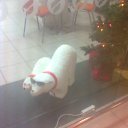 ���� �������, �����, 50 ��� - ��������� 16 ������� 2013 � ������ ��������