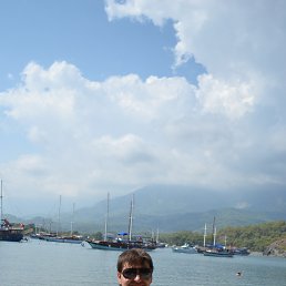 �������, ���������, 41 ���