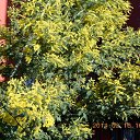 � ��� ���� � ������� ������. �� ������� ��������˻