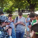  D.s., , 38  -  2  2013   13  2013, , Voynich