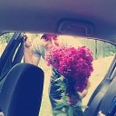 ���� �������, ������, 42 ���� - ��������� 13 ������� 2013 � ������ ���� ����������
