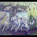 �������� � ����������. �� ������� ����� �������