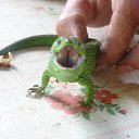 ���� ������ �� ������� ���� ����������