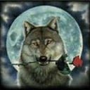 ���� ������, ������, 48 ��� - ��������� 28 ������� 2013 � ������ ���� ����������