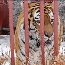 ���� �����, �����-��������� - ��������� 15 ������� 2013 � ������ ���� ����������