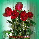 ���� ������� �., ����� - ��������� 8 ����� 2014 � ������ ������ ��������