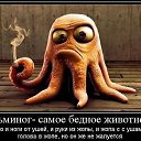 ���� ������, ������, 46 ��� - ��������� 7 ������� 2013 � ������ ���� ����������