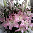 ���� ��������, ������, 55 ��� - ��������� 3 ������ 2013 � ������ ���� ����������