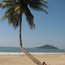 ���� ������, ������, 50 ��� - ��������� 24 ������� 2013