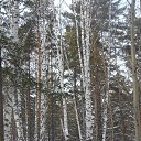  ,  -  6  2014    2014