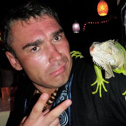 ������, ����-���������, 50 ���