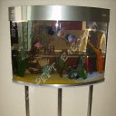 ���� �����, ������-��-����, 41 ��� - ��������� 27 ������� 2013 � ������ ���� ������....�