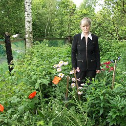 ������� �������, �����-���������, 71 ���