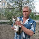 ���� ����, ��������������, 67 ��� - ��������� 28 �������� 2013 � ������ ���� ����������