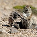 ���� Kirill, ����������� ����, 62 ���� - ��������� 28 �������� 2013