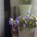 ���� ����, �����-���������, 46 ��� - ��������� 2 ������ 2014 � ������ ���� ����������