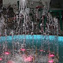 ���� �������, ����, 41 ��� - ��������� 14 �������� 2013 � ������ �������