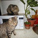 ��� ��� ������ �����, ����� � �������... �� ������� ���� ���� � ������ ��������