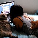 ��������, ��� �������� ��� ���.
������� � ����� ��������,
���������� � ��� �����������,
� ����� ����� ������ ������. �� ������� �������