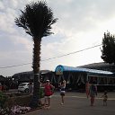���� ������, ������� - ��������� 1 ������� 2013 � ������ ������� ������ �� ����Ż