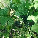 ���� ����, ����������� - ��������� 20 ������ 2014 � ������ �����������