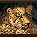 ���� ������, �������, 31 ��� - ��������� 6 ����� 2014 � ������ ���� ����������