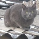 ���� ��������, ������, 57 ��� - ��������� 9 ������ 2013 � ������ ���� ����������