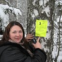 ���� ��������, ������, 44 ���� - ��������� 11 ������� 2013