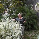 ���� �����, ������ ��������, 61 ��� - ��������� 28 ������ 2013 � ������ ���� ����������