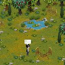 ���� �����, ��������, 26 ��� - ��������� 5 ������ 2014 � ������ �Tropikania�