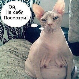 ���� ������, ������������, 45 ��� - ��������� 20 �������� 2013