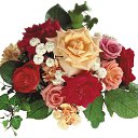 ���� ����, ������, 53 ���� - ��������� 4 ������� 2013 � ������ �������